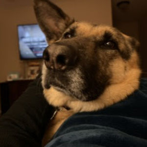 Meet your Posher, Heather